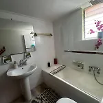 Ibis *